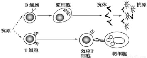 实验室用超纯水机